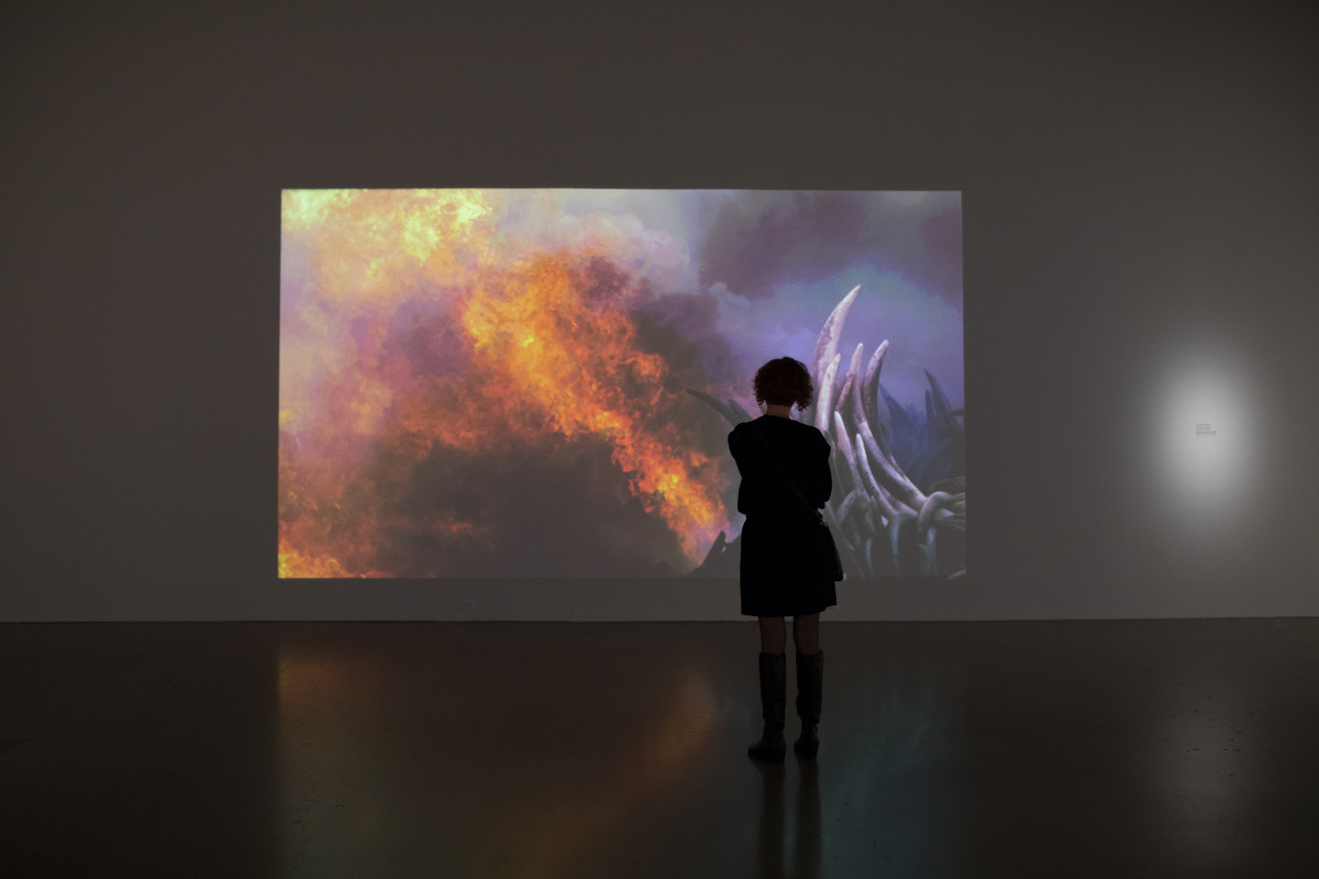 anthropocene_at_the_ago_installation_view